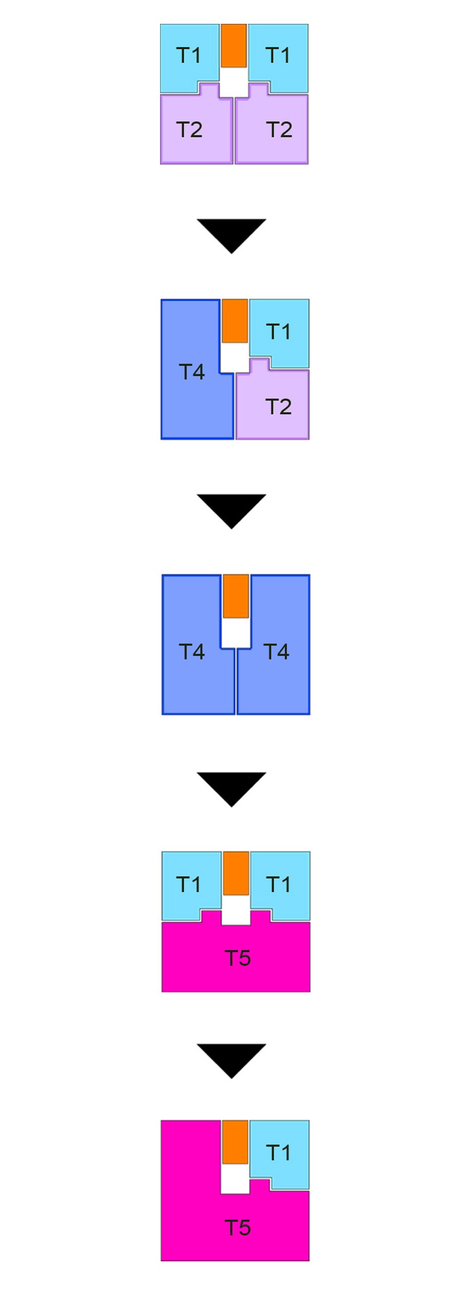 apartment typologies MARIN TROTTIN (LOGEMENTS GRAMMONT, Rouen)