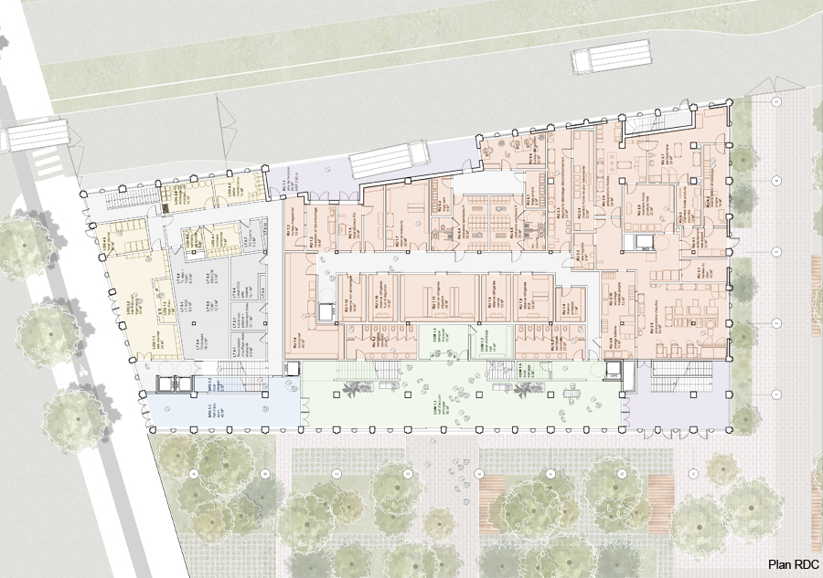 Plan RDC : Hall principal et cuisine Plan RDC : Hall principal et cuisine