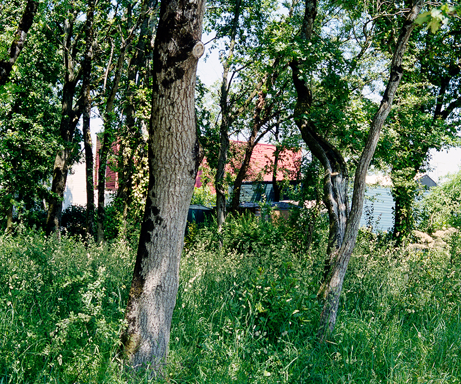 MARIN TROTTIN (LES JARDINS DE LA PIROTTERIE, Rezé)